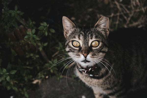 Welche kreativen Aufbewahrungslà¶sungen gibt es für kleine Wohnungen?